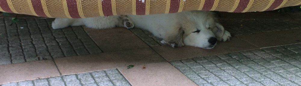 Bin breit, total breit