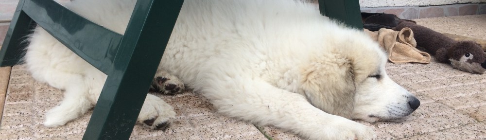 Nach dem Morgenspaziergang