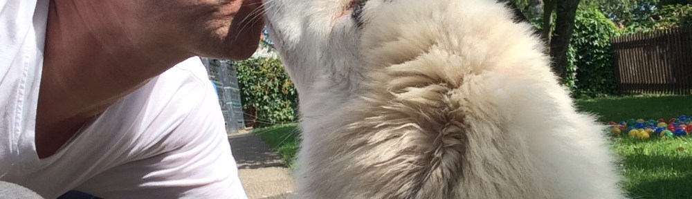 Bella gibt Küßchen!