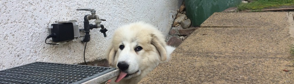 Hier ist's schön kuschelig