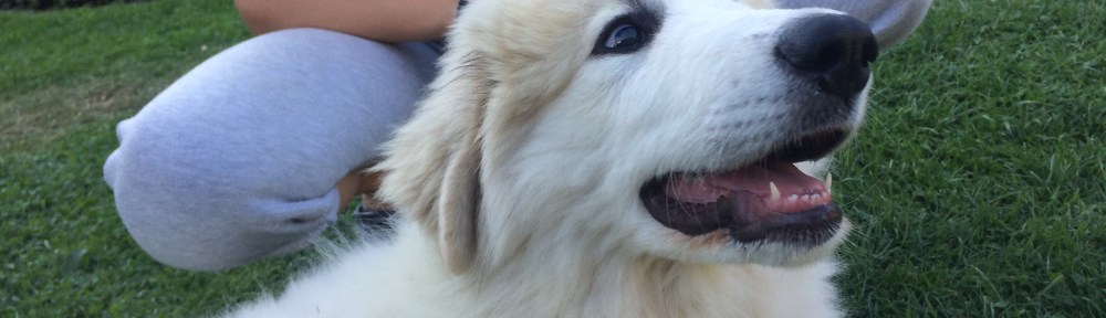 Ich, die Bella, bin eine Prinzessin