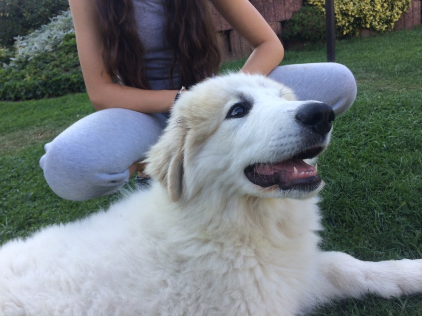 Ich, die Bella, bin eine Prinzessin