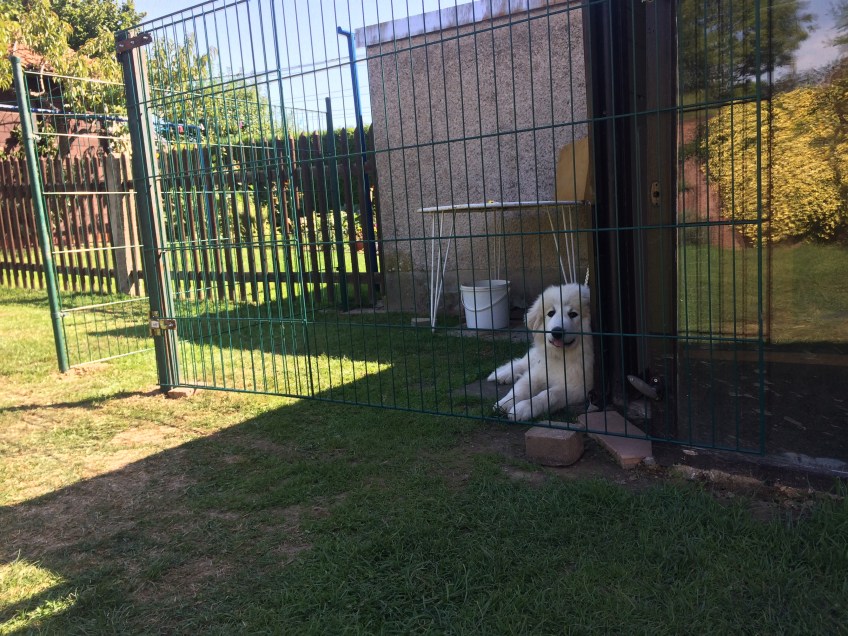 Mein Schattenplatz