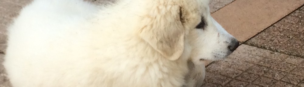 Ganz in Ruhe auf meiner Terrasse