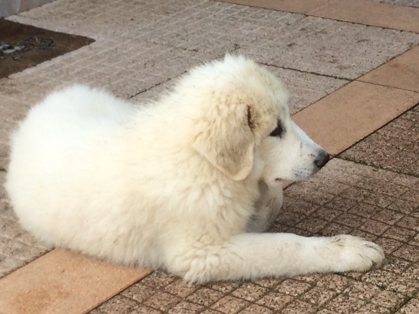 Ganz in Ruhe auf meiner Terrasse