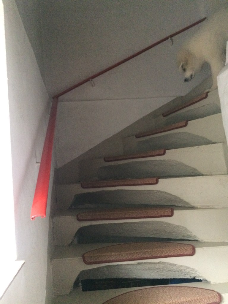 Kellertreppe;wie das weitergeht bekomme ich noch raus 😄