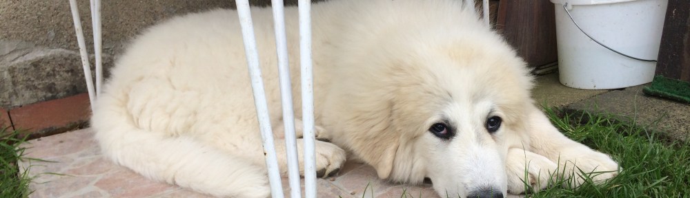 Jaaaa, hier ist's schön