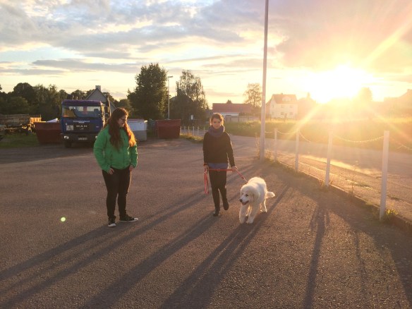 Mit meinen Menschenschwestern beim Abendspaziergang