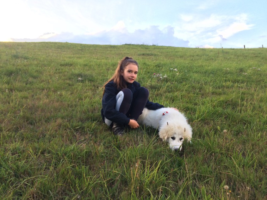 Mit meiner kleinen Menschenschwester auf meiner Wiese