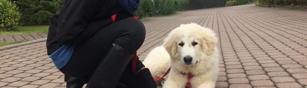 Bella macht Kuschelpause