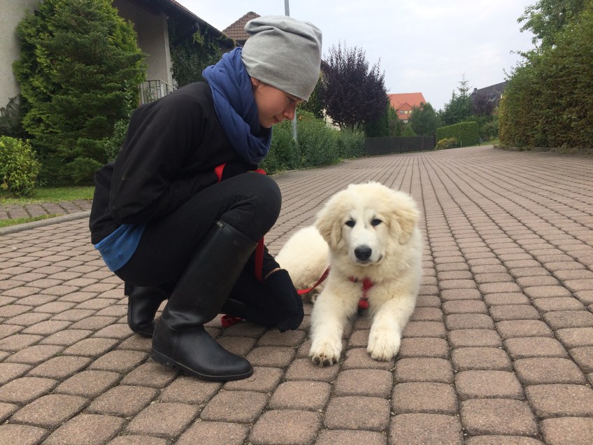 Bella macht Kuschelpause