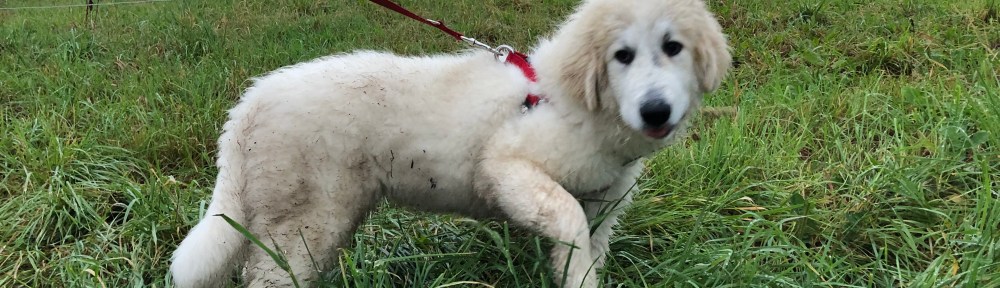 Bin trotzdem eine Prinzessin