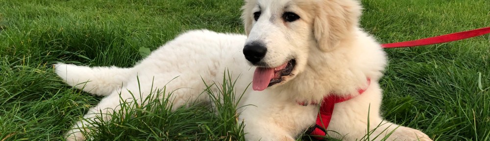 Ich bin schon schön, oder?