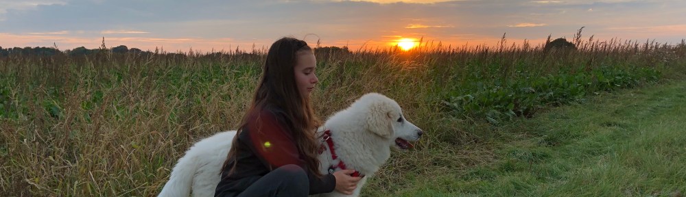 Meine Feldwiese mit Rübenfeld