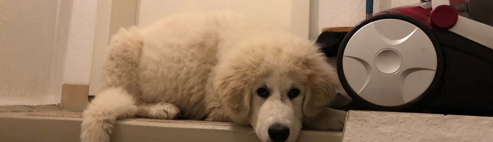 Hier möchte ich immer legen!