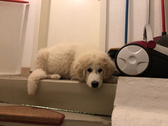 Hier möchte ich immer liegen