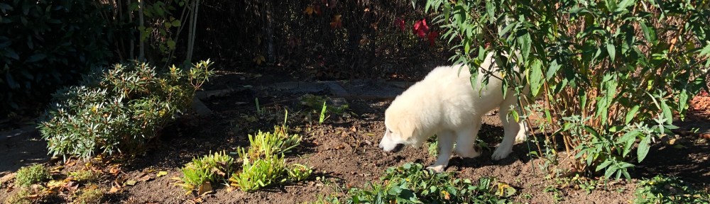 Garten kontrollieren