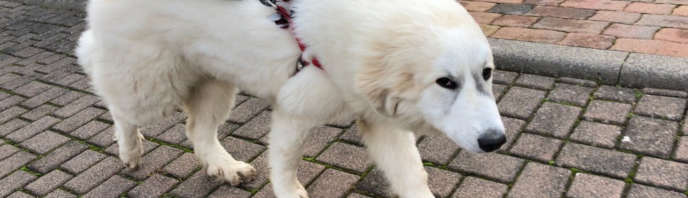 Pustewind von vorn – ich sehe aus wie meine Mami