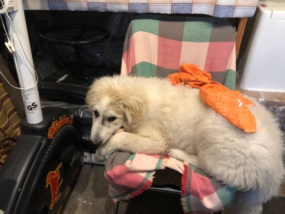 Trockenrubbeln auf meinem Werstattstuhl 😄