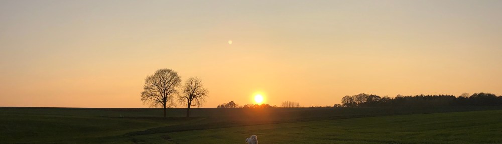 … der Sonne ☀️ entgegen …