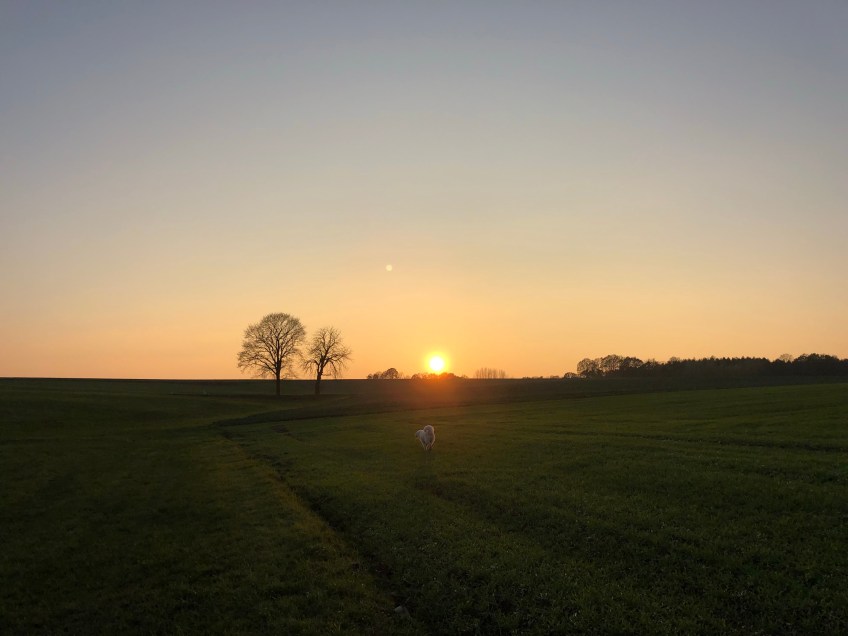 … der Sonne ☀️ entgegen …