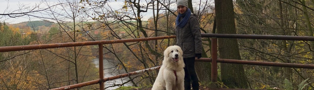 Mit meiner kleinen Menschenschwester im Wald