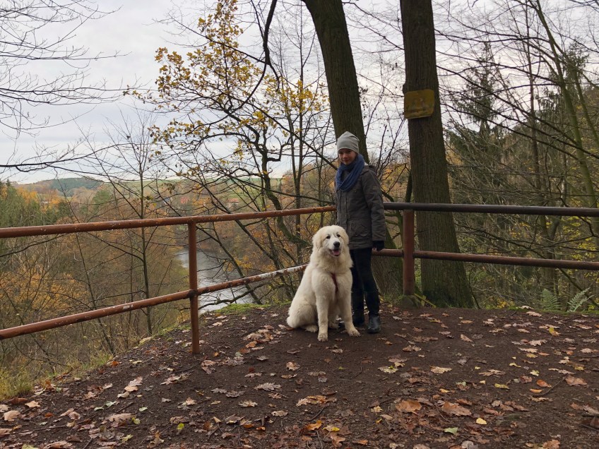 Mit meiner kleinen Menschenschwester im Wald