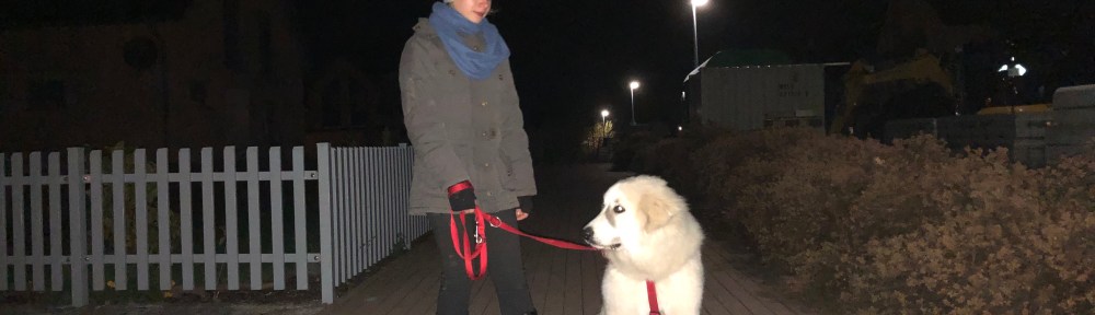 Mit meiner kleinen Menschenschwester beim Abendspaziergang