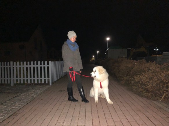 Mit meiner kleinen Menschenschwester beim Abendspaziergang