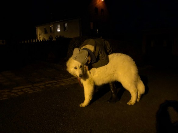 Kuscheln mit meiner kleinen Menschenschwester