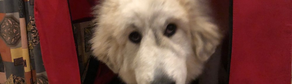 Guggug! Mein Ferienhaus.