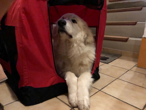 Bin noch skeptisch mit meinem Ferienhaus