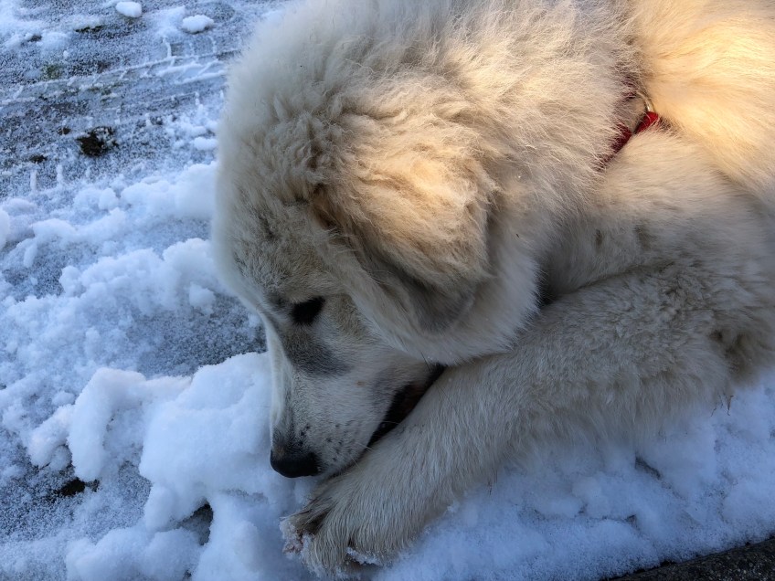 Hmmm, Schnee