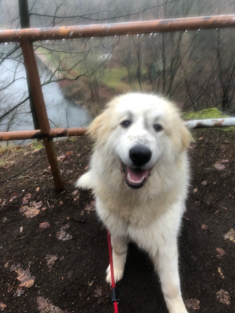 Juhu, Spaziergang, trotz Matschepampewetter