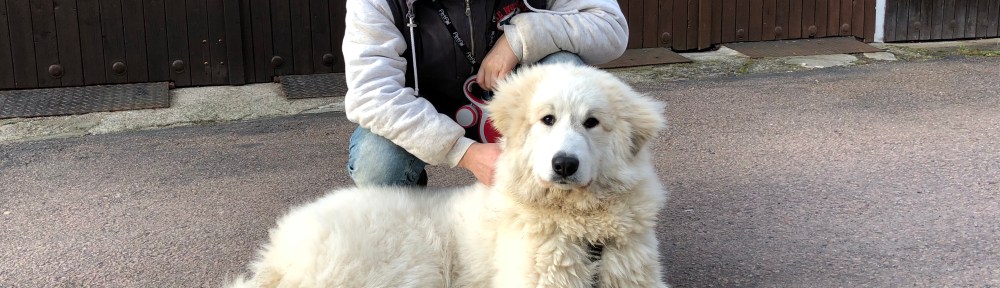 Mein großer Mensch und ich, die Bella