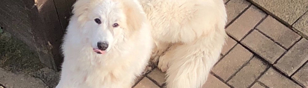 Dieses Photo wurde ohne meine ausdrückliche Genehmigung aufgenommen …