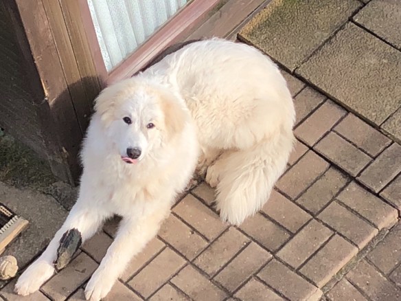 Dieses Photo wurde ohne meine ausdrückliche Genehmigung aufgenommen …