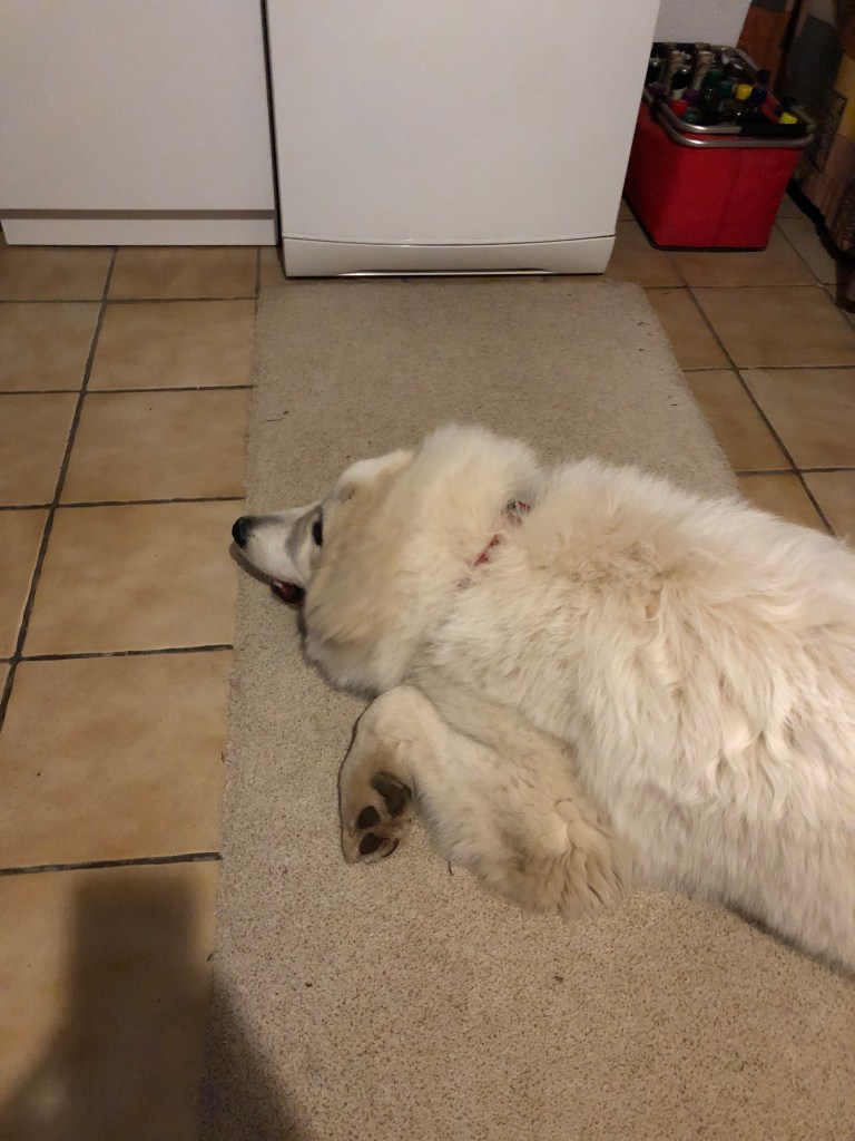 Bääähhh …