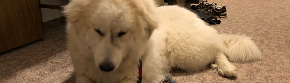 Bin jetzt in der Wohnung