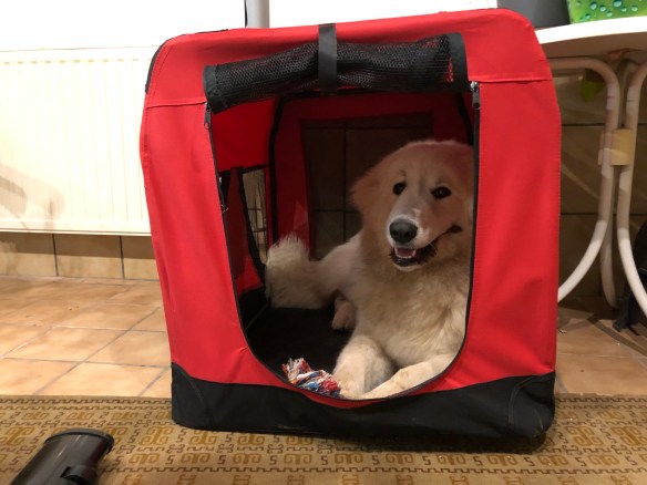 In meinem schönen, roten Ferienhaus