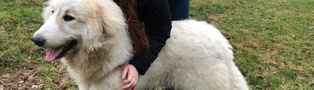 Die Bella mit ihrer großen Menschenschwester