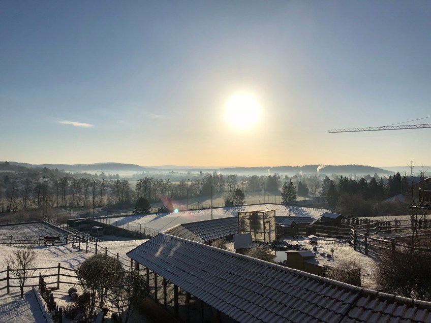 Wintermorgen am Sonnenhof