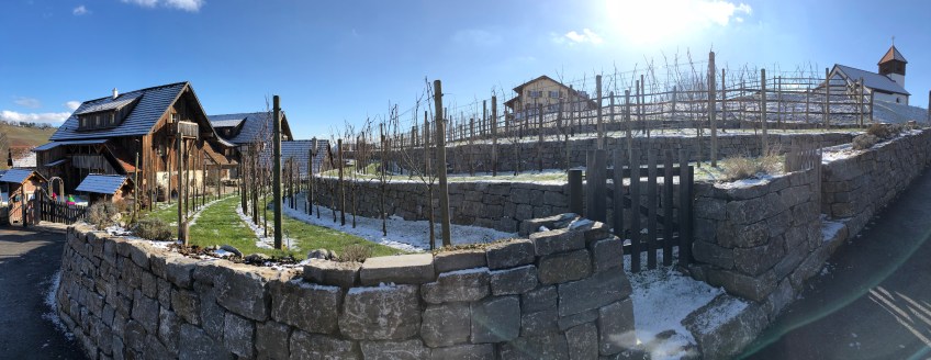 "s'Dörfle" mit Weinberg, Landhaus und Kapelle St. Urban