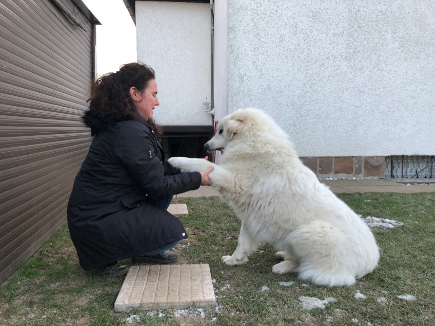 Sag "Guten Tag!" zu mir