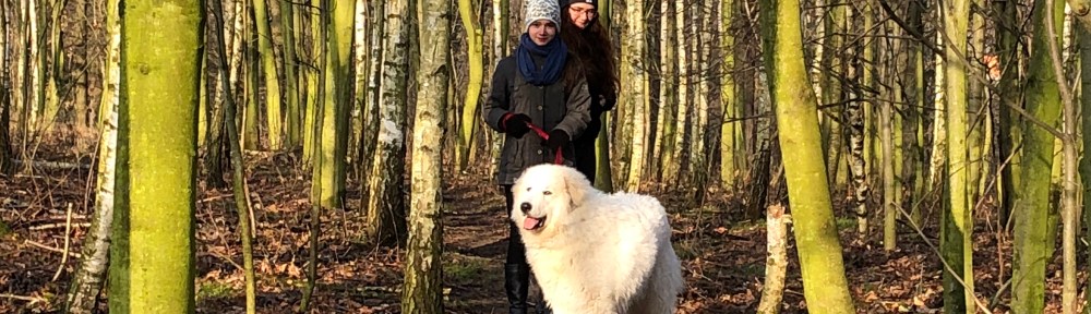 Das ist die Bella …