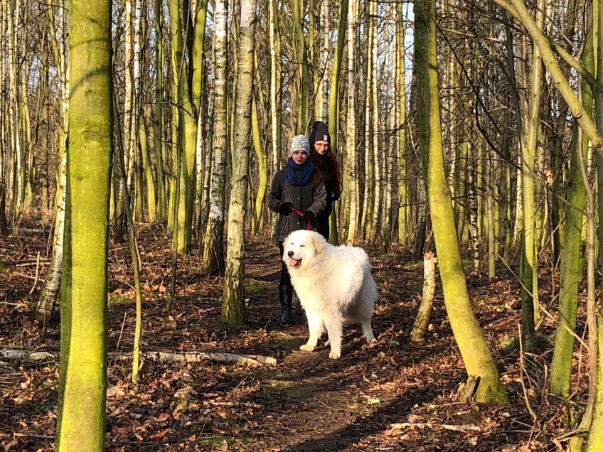 Das ist die Bella …