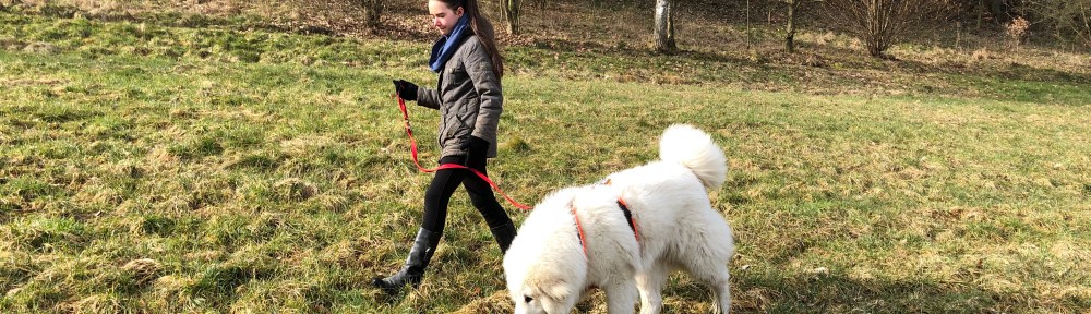 Und nochmal auf der großen Feldwiese