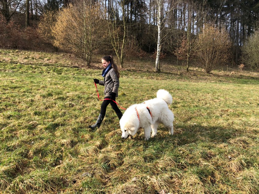 Und nochmal auf der großen Feldwiese