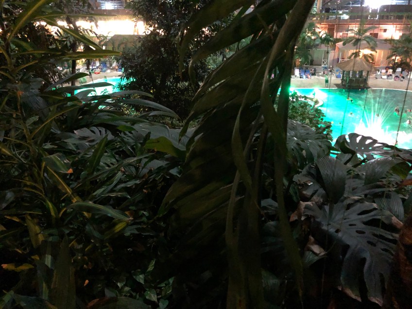 Blick vom Regenwald über die Lagune