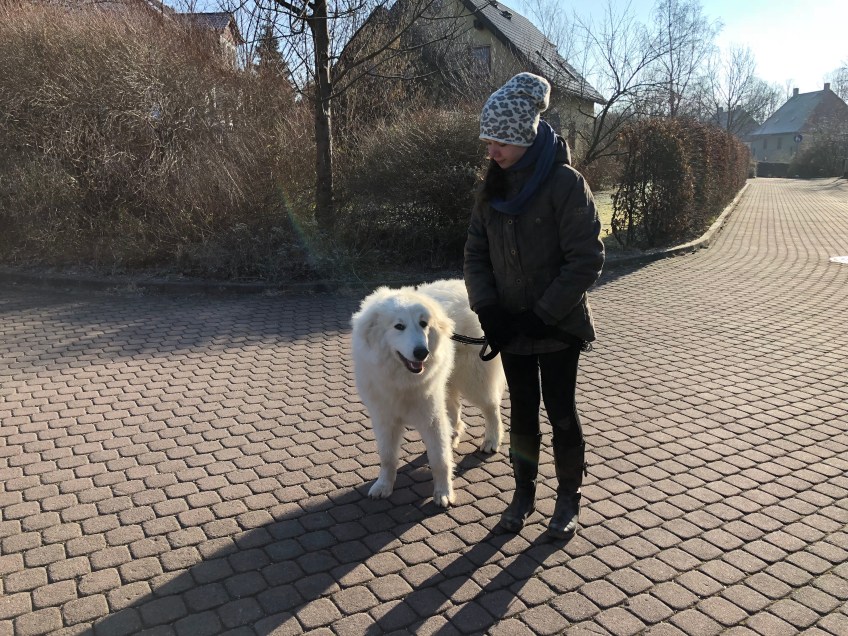 Morgenspaziergang in meinem Wohngebiet